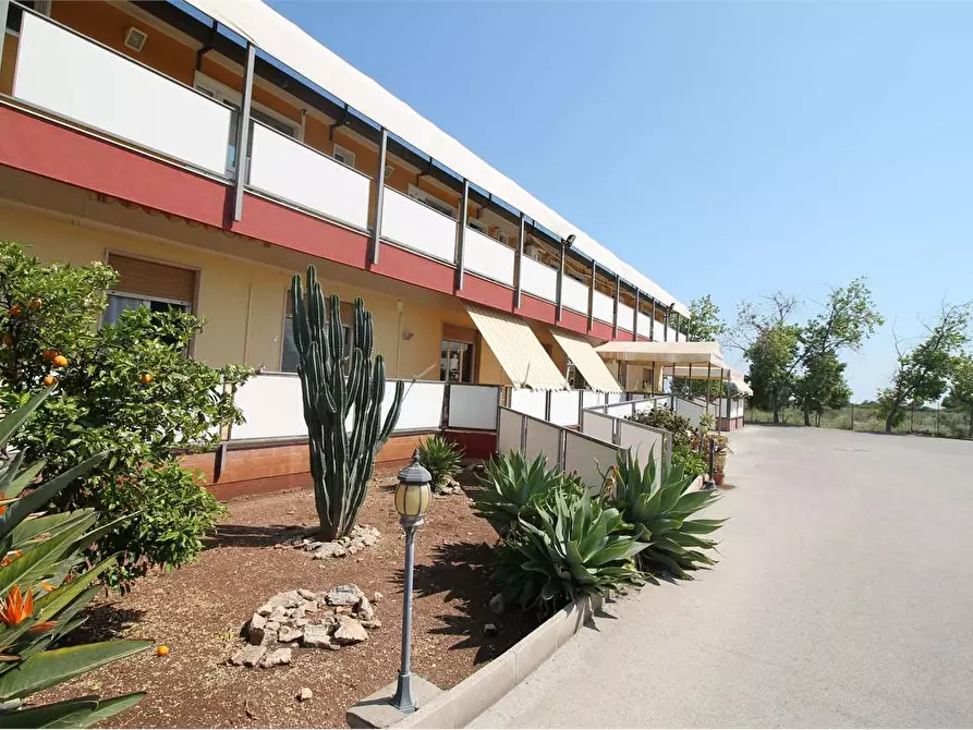 Immagine 25 di Villa in vendita  in Viale epipoli a Siracusa