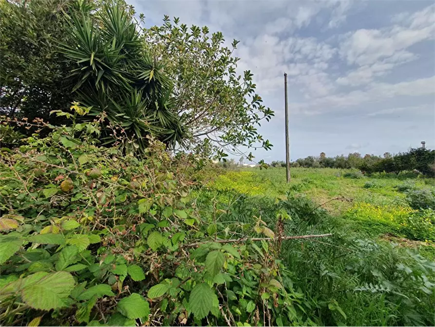 Immagine 2 di Magazzino in vendita  in Traversa Rumania  a Siracusa