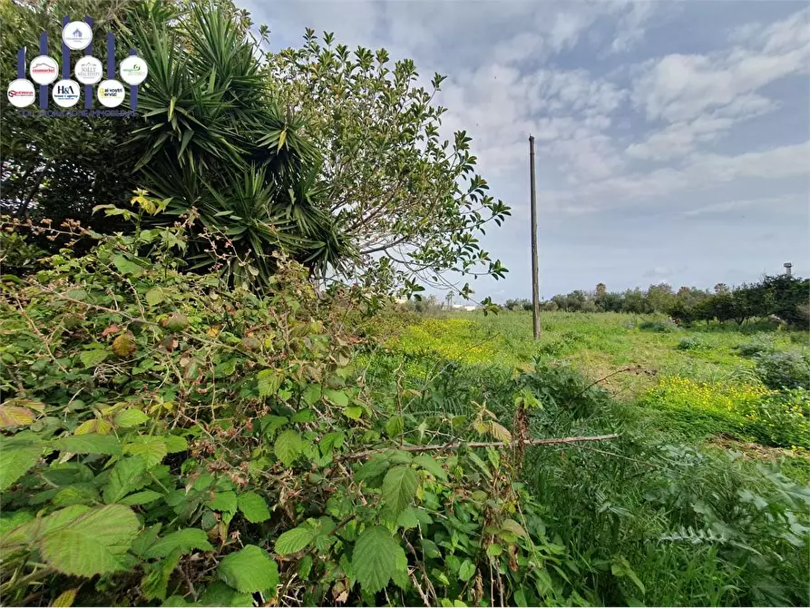 Immagine 2 di Magazzino in vendita  in Traversa Rumania  a Siracusa