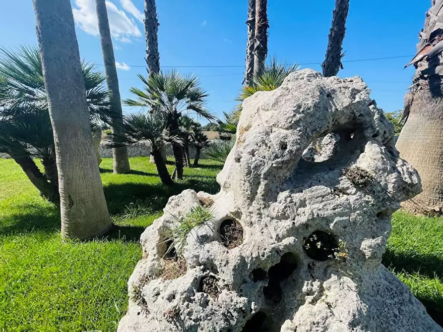 Immagine 5 di Rustico / casale in vendita  in sp 24 a Noto