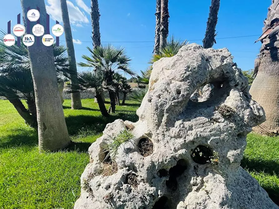 Immagine 5 di Rustico / casale in vendita  in sp 24 a Noto