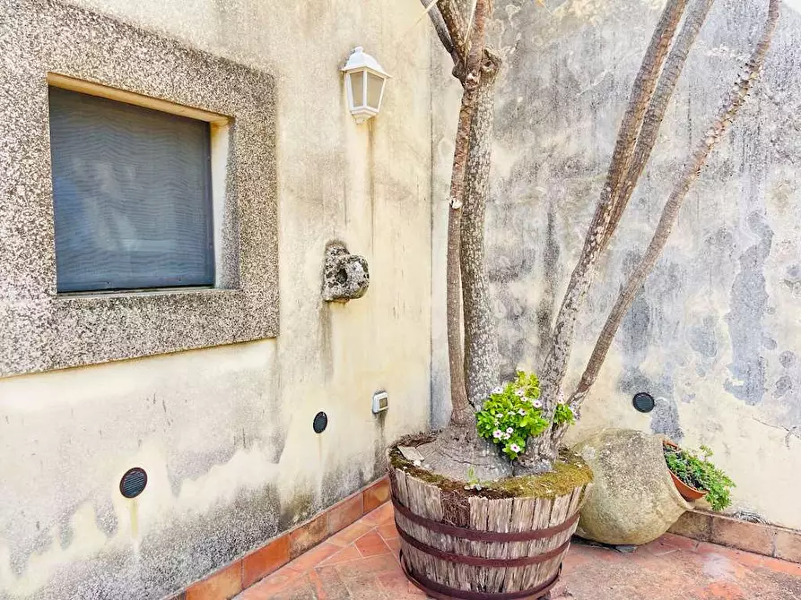 Immagine 21 di Rustico / casale in vendita  in sp 24 a Noto