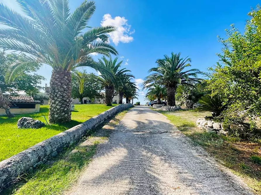 Immagine 74 di Rustico / casale in vendita  in sp 24 a Noto