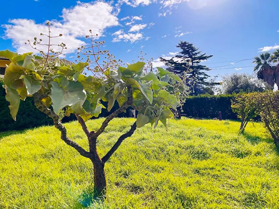 Immagine 43 di Villa in vendita  in Contrada Madonna Marina a Noto