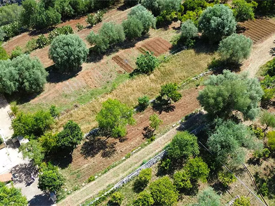Immagine 2 di Villa in vendita  in Contrada condotte a Canicattini Bagni