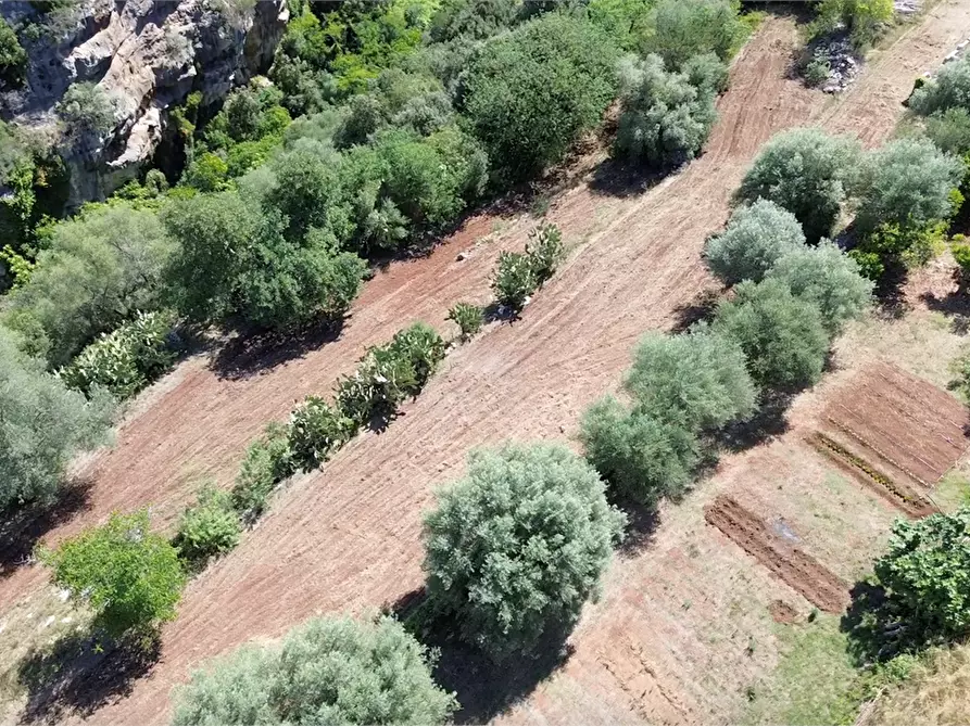 Immagine 20 di Villa in vendita  in Contrada condotte a Canicattini Bagni
