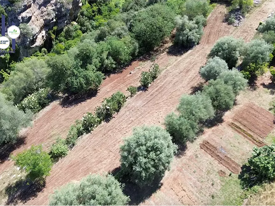 Immagine 20 di Villa in vendita  in Contrada condotte a Canicattini Bagni