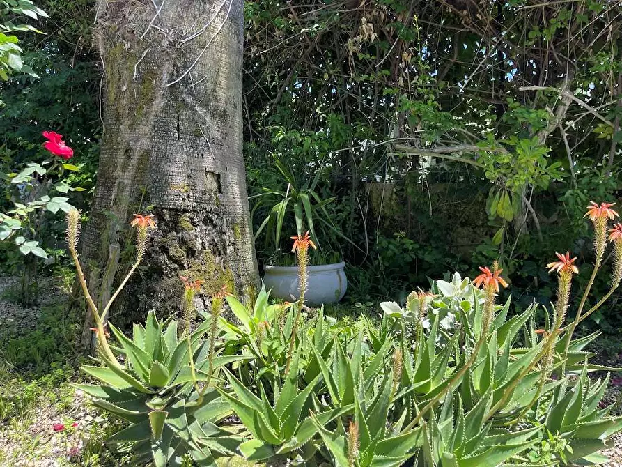 Immagine 55 di Villa in vendita  in Via Senigallia a Siracusa