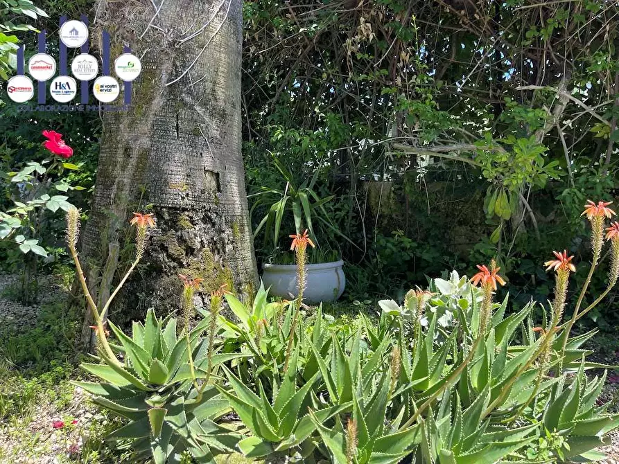 Immagine 55 di Villa in vendita  in Via Senigallia a Siracusa