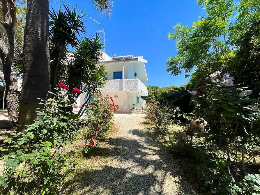 Immagine 57 di Villa in vendita  in Via Senigallia a Siracusa