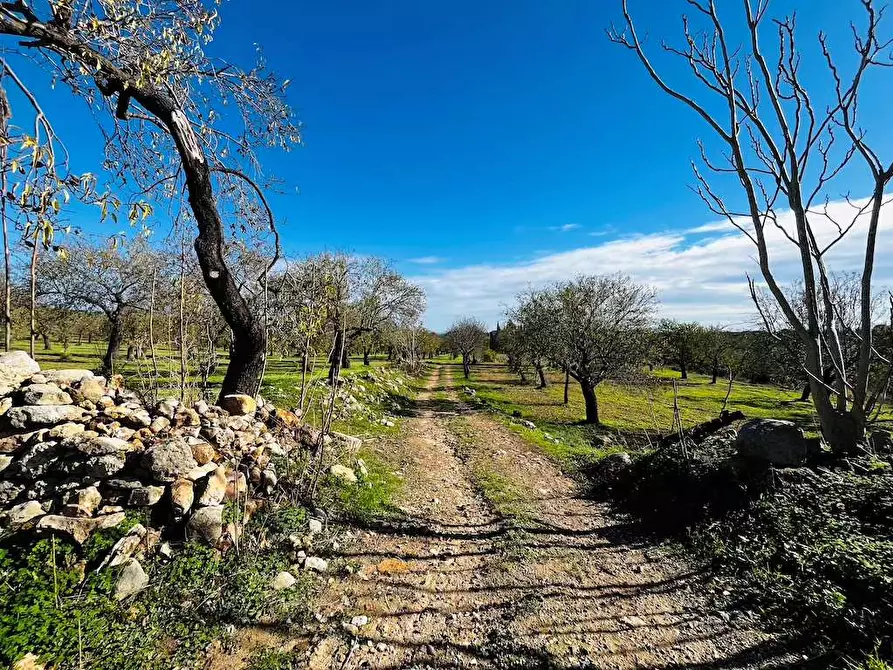Immagine 3 di Rustico / casale in vendita  in Contrada Gioi a Noto