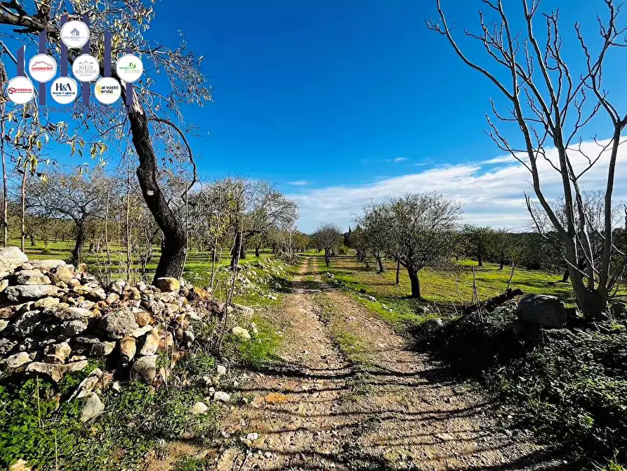 Immagine 3 di Rustico / casale in vendita  in Contrada Gioi a Noto