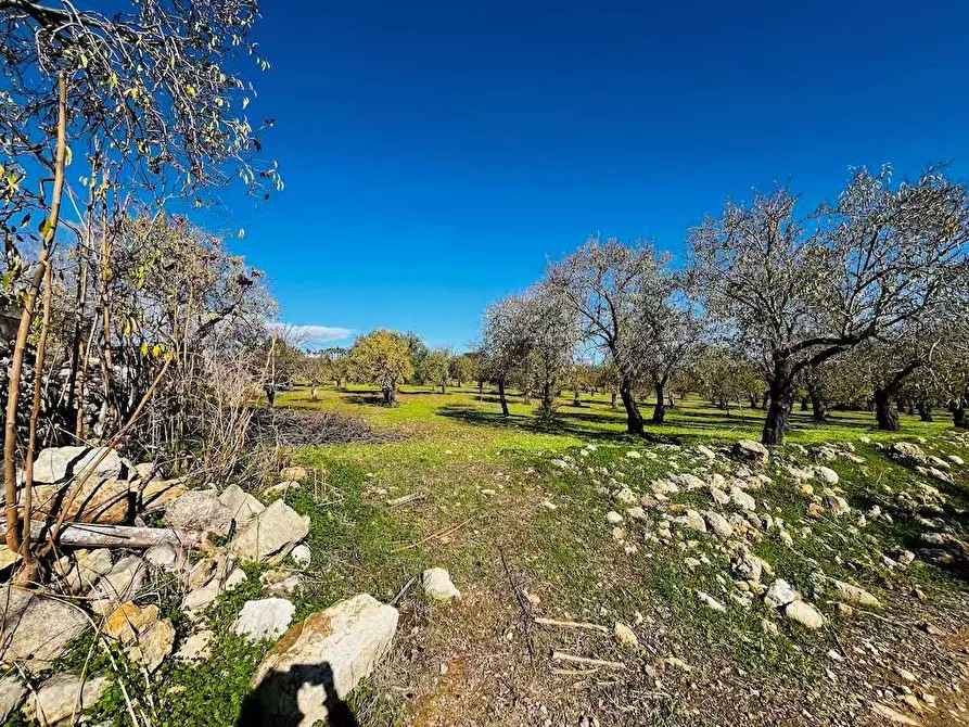 Immagine 36 di Rustico / casale in vendita  in Contrada Gioi a Noto