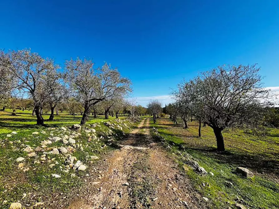 Immagine 37 di Rustico / casale in vendita  in Contrada Gioi a Noto