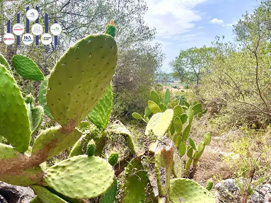 Immagine 1 di Rustico / casale in vendita  in Epipoli a Siracusa