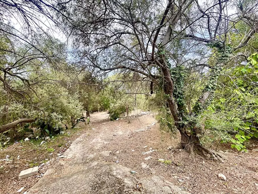 Immagine 3 di Rustico / casale in vendita  in Epipoli a Siracusa