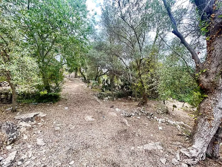 Immagine 4 di Rustico / casale in vendita  in Epipoli a Siracusa