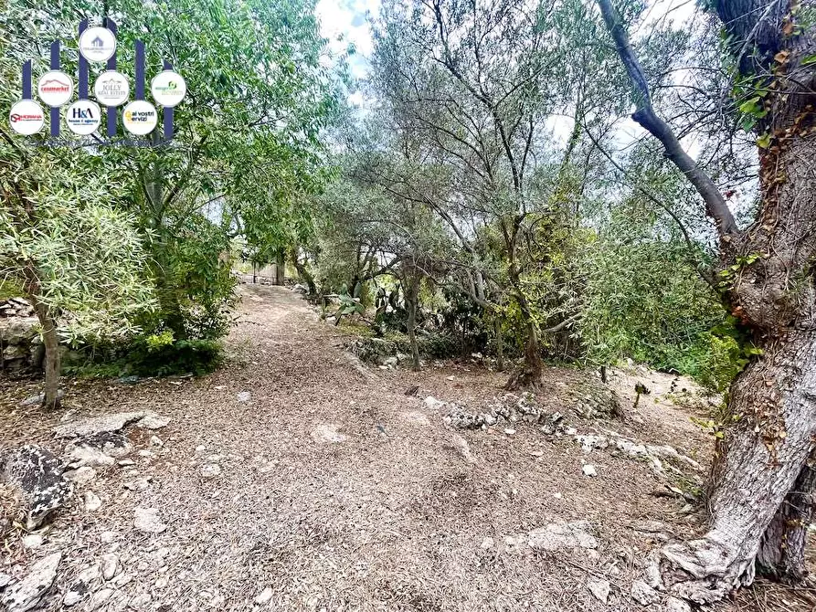 Immagine 4 di Rustico / casale in vendita  in Epipoli a Siracusa