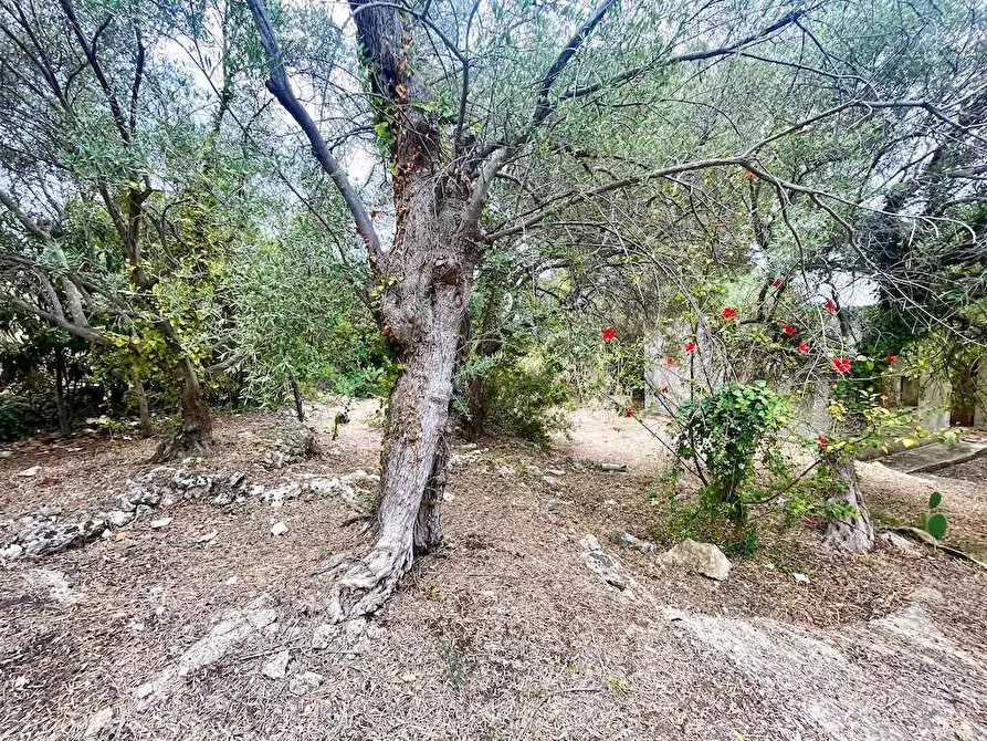 Immagine 5 di Rustico / casale in vendita  in Epipoli a Siracusa