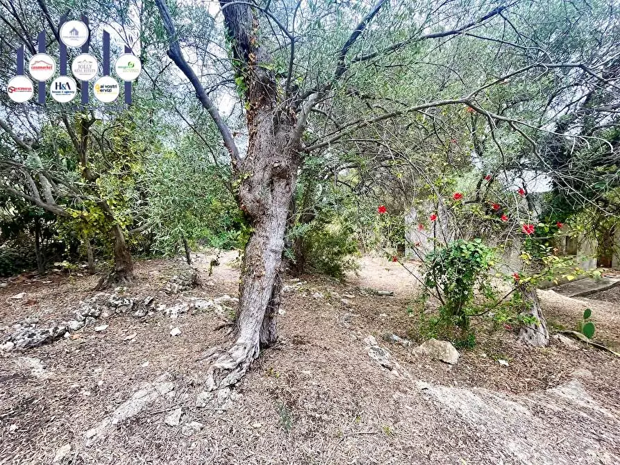 Immagine 5 di Rustico / casale in vendita  in Epipoli a Siracusa