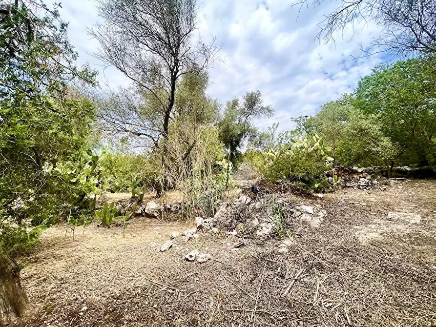 Immagine 7 di Rustico / casale in vendita  in Epipoli a Siracusa