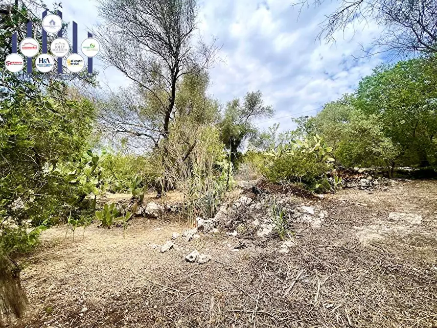 Immagine 7 di Rustico / casale in vendita  in Epipoli a Siracusa