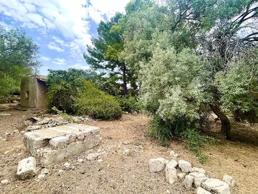Immagine 13 di Rustico / casale in vendita  in Epipoli a Siracusa