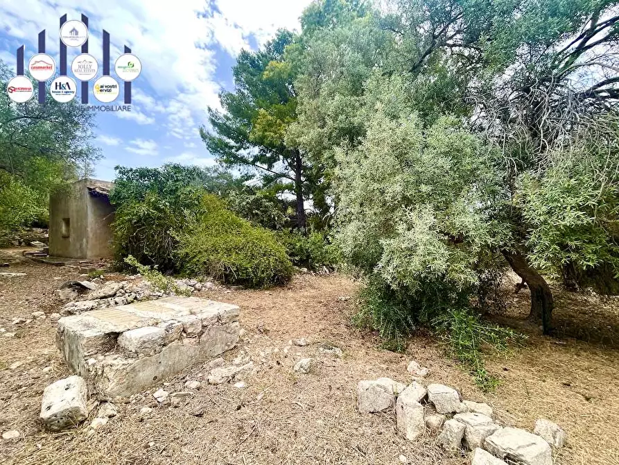 Immagine 13 di Rustico / casale in vendita  in Epipoli a Siracusa