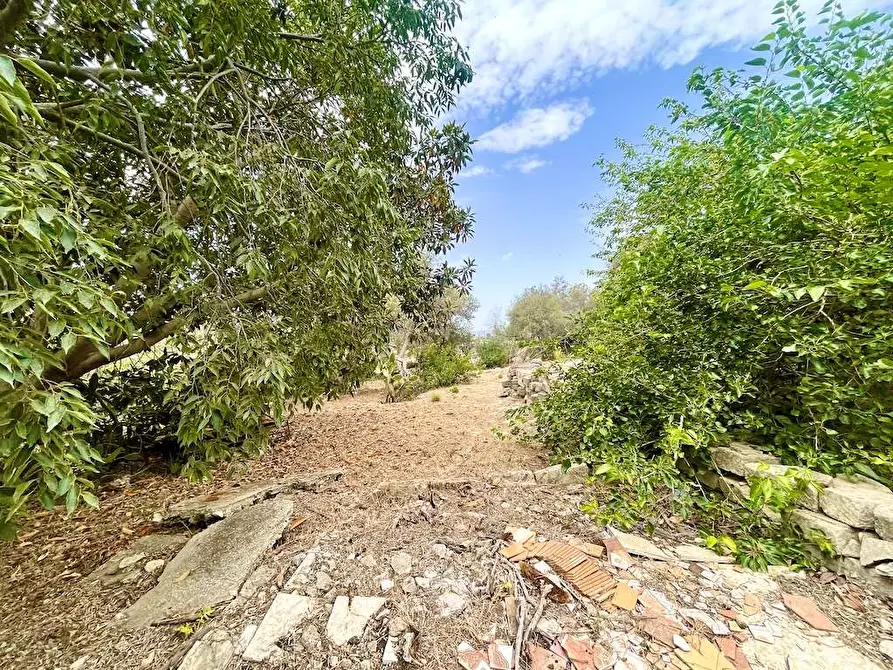 Immagine 14 di Rustico / casale in vendita  in Epipoli a Siracusa