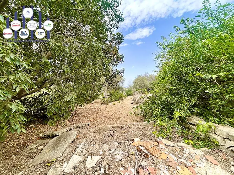 Immagine 14 di Rustico / casale in vendita  in Epipoli a Siracusa