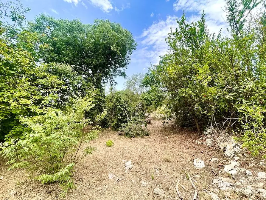 Immagine 16 di Rustico / casale in vendita  in Epipoli a Siracusa