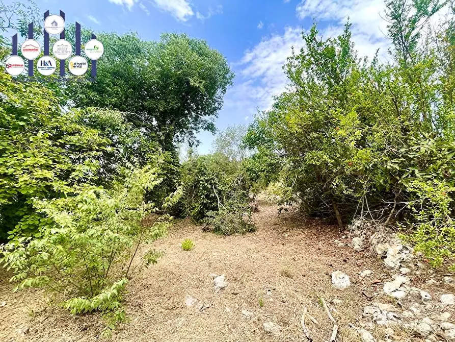 Immagine 16 di Rustico / casale in vendita  in Epipoli a Siracusa