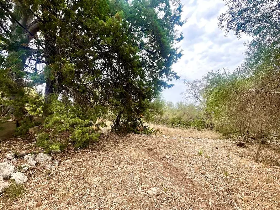 Immagine 17 di Rustico / casale in vendita  in Epipoli a Siracusa