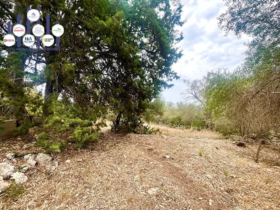 Immagine 17 di Rustico / casale in vendita  in Epipoli a Siracusa