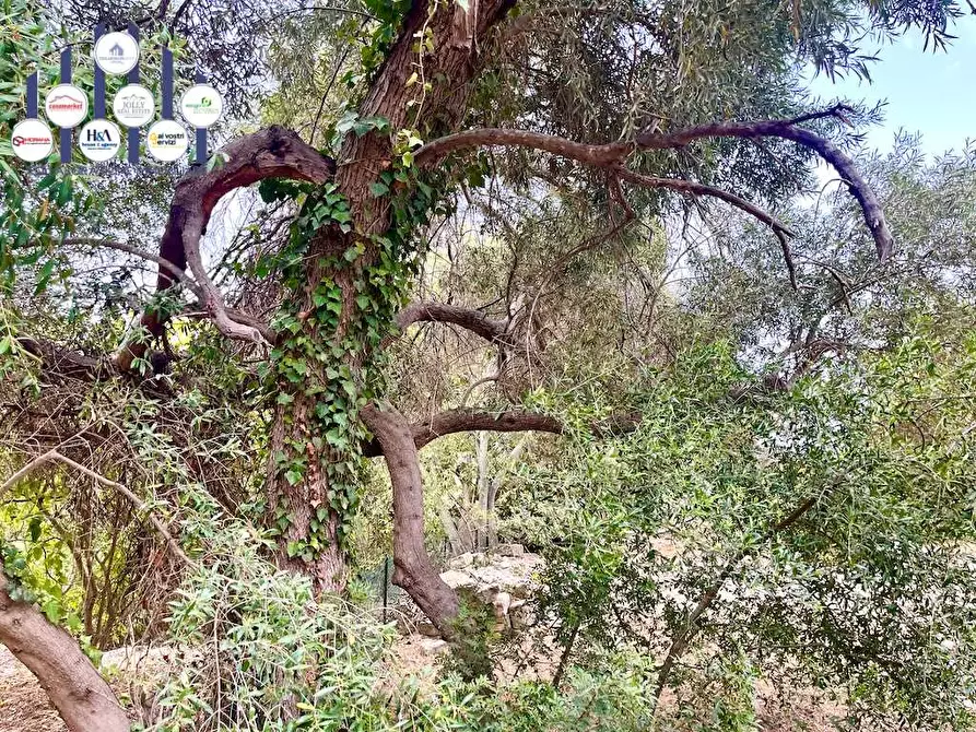 Immagine 18 di Rustico / casale in vendita  in Epipoli a Siracusa