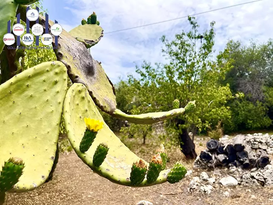 Immagine 19 di Rustico / casale in vendita  in Epipoli a Siracusa