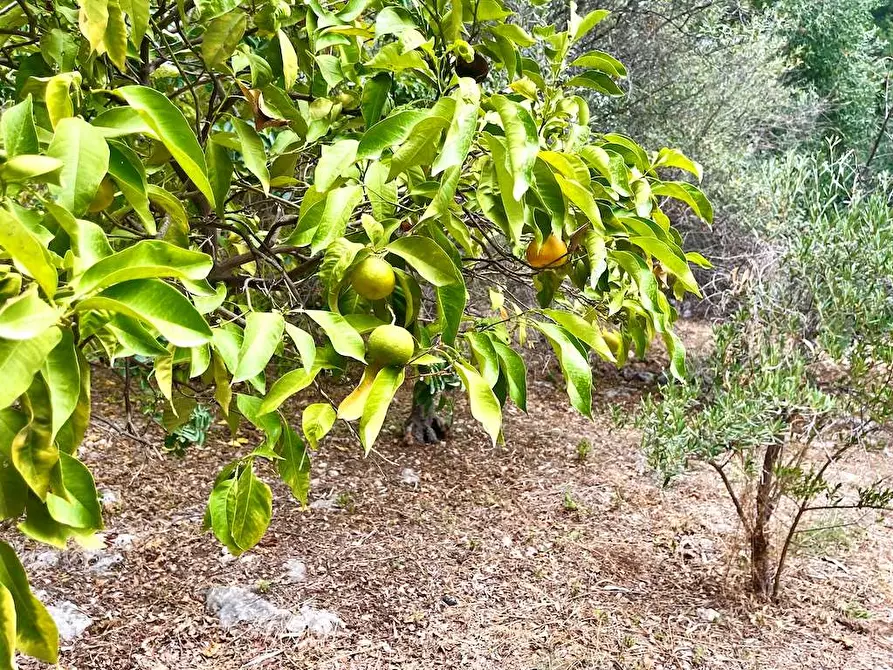 Immagine 20 di Rustico / casale in vendita  in Epipoli a Siracusa