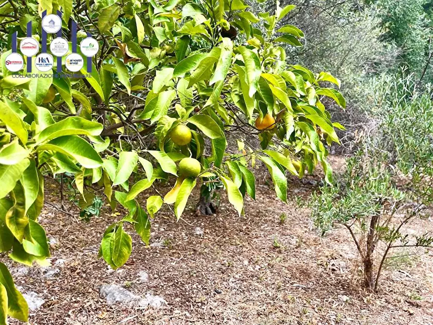 Immagine 20 di Rustico / casale in vendita  in Epipoli a Siracusa