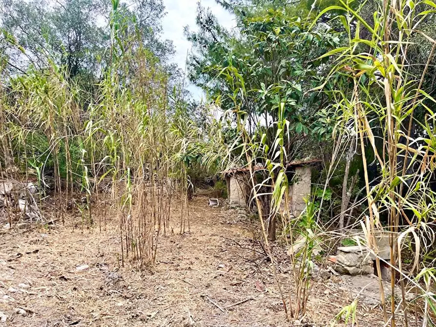 Immagine 21 di Rustico / casale in vendita  in Epipoli a Siracusa