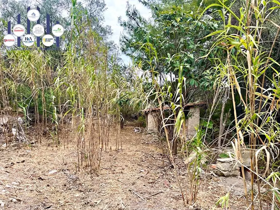 Immagine 21 di Rustico / casale in vendita  in Epipoli a Siracusa