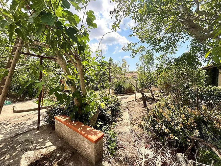 Immagine 60 di Villa in vendita  in Contrada Serravetrano a Palazzolo Acreide