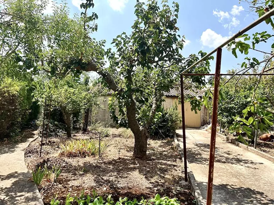 Immagine 64 di Villa in vendita  in Contrada Serravetrano a Palazzolo Acreide