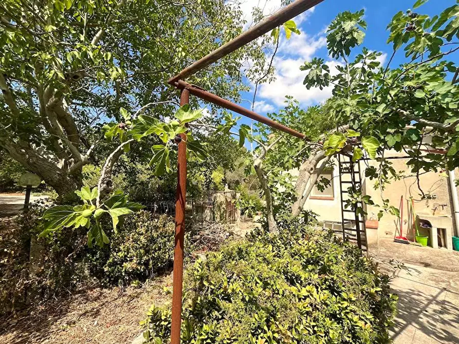 Immagine 66 di Villa in vendita  in Contrada Serravetrano a Palazzolo Acreide