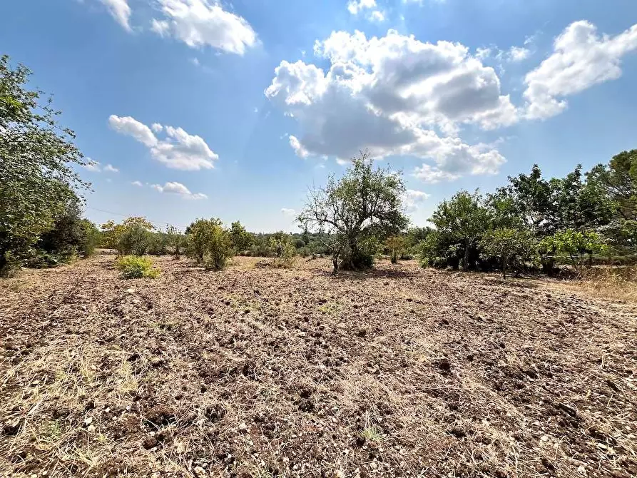 Immagine 71 di Villa in vendita  in Contrada Serravetrano a Palazzolo Acreide