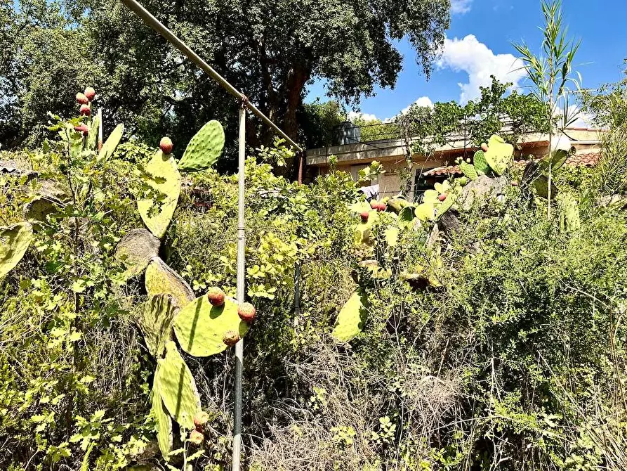 Immagine 72 di Villa in vendita  in Contrada Serravetrano a Palazzolo Acreide