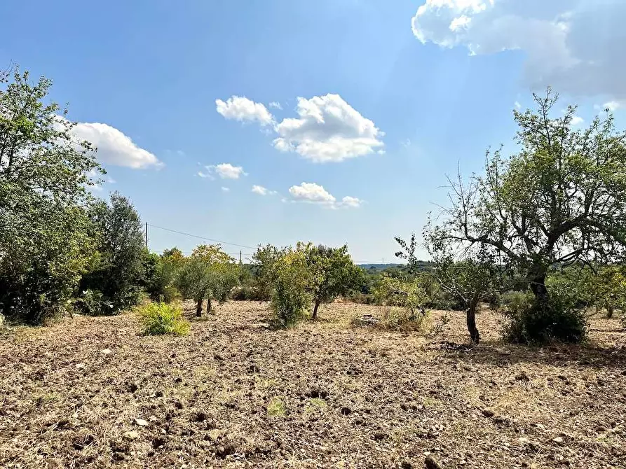 Immagine 73 di Villa in vendita  in Contrada Serravetrano a Palazzolo Acreide