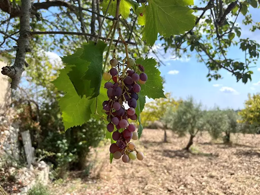 Immagine 74 di Villa in vendita  in Contrada Serravetrano a Palazzolo Acreide