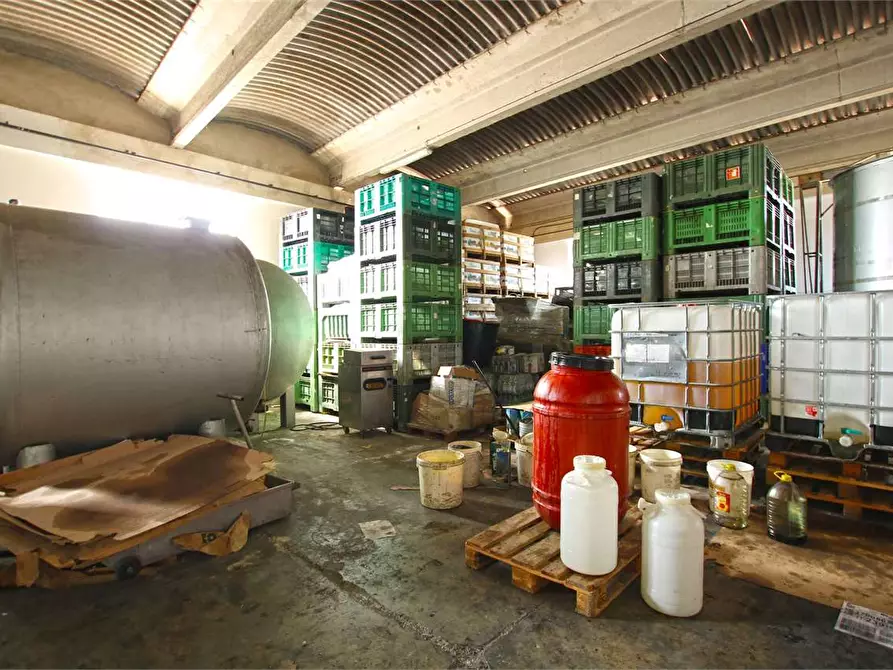 Immagine 21 di Capannone industriale in vendita  in Via Forlanini a Siracusa