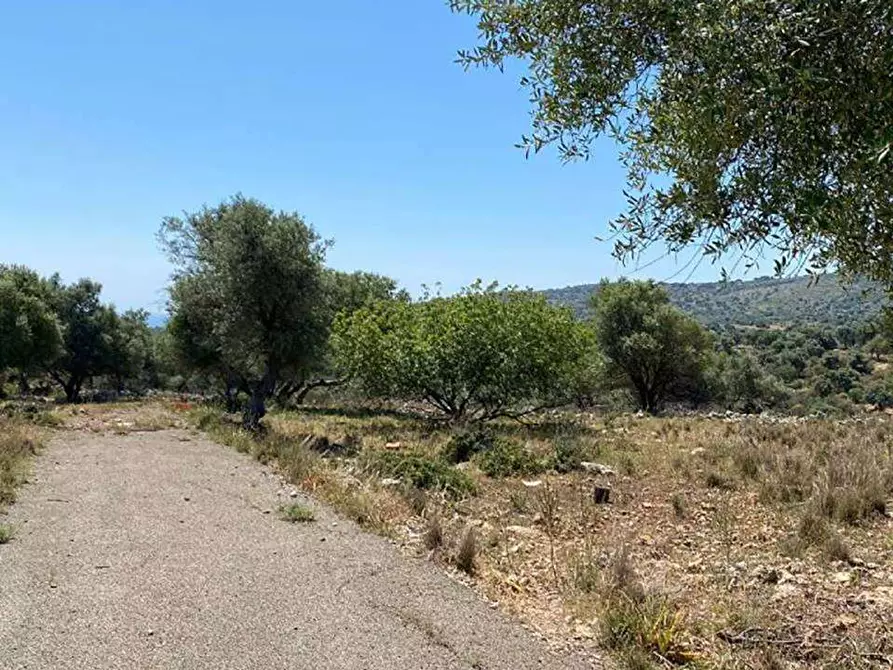 Immagine 1 di Terreno edificabile in vendita  in Contrada Teste Mozze a Noto