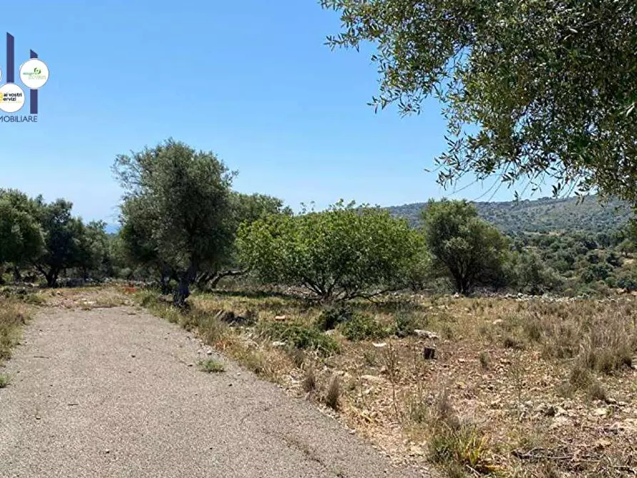Immagine 1 di Terreno edificabile in vendita  in Contrada Teste Mozze a Noto